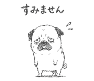 842891245