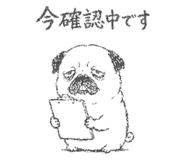 842891251