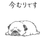 842891253