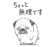 842891254