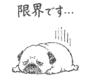 842891257