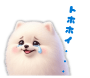 842891427