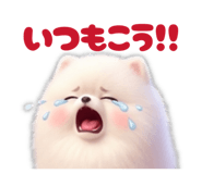 842891428