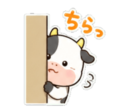 842891744