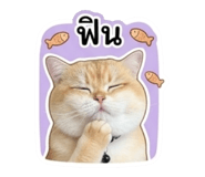 842893403