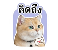 842893410