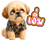 842893605