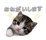 842894595