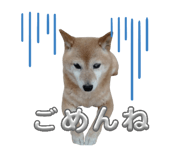842894629