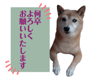 842894630