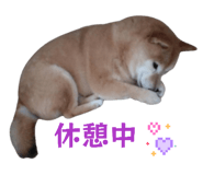 842894634