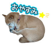 842894635