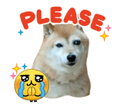 842894638