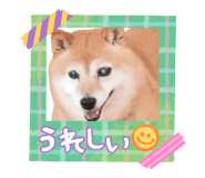 842894639
