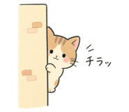 842894670