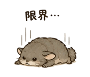 842894769