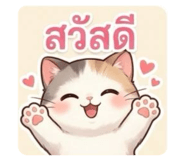 842894905