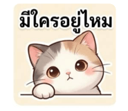 842894906
