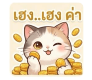 842894911