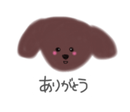 842895228