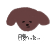 842895236