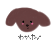 842895237