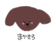 842895238
