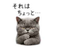 842895343