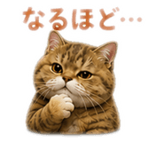 842895344