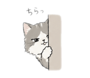842895368