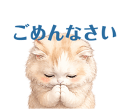 842895372