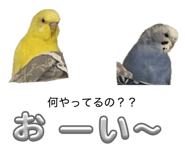 842895377
