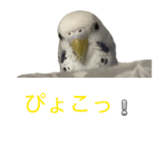 842895378