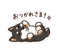 842895389