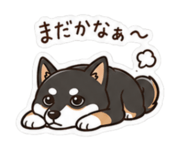 842895397