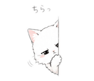 842895723