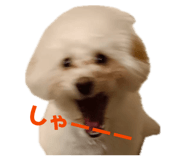 842895882