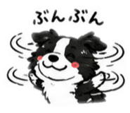 842895947