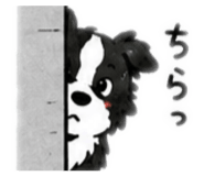 842895952