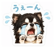 842895993