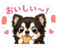 842895997