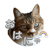 842896001