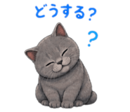 842896496