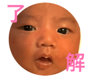 842896667