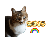 842896677