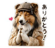 842896780