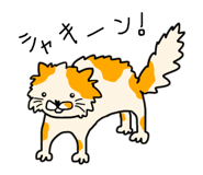 842896984