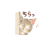 842897594