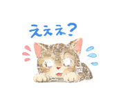 842897596