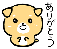 842899161